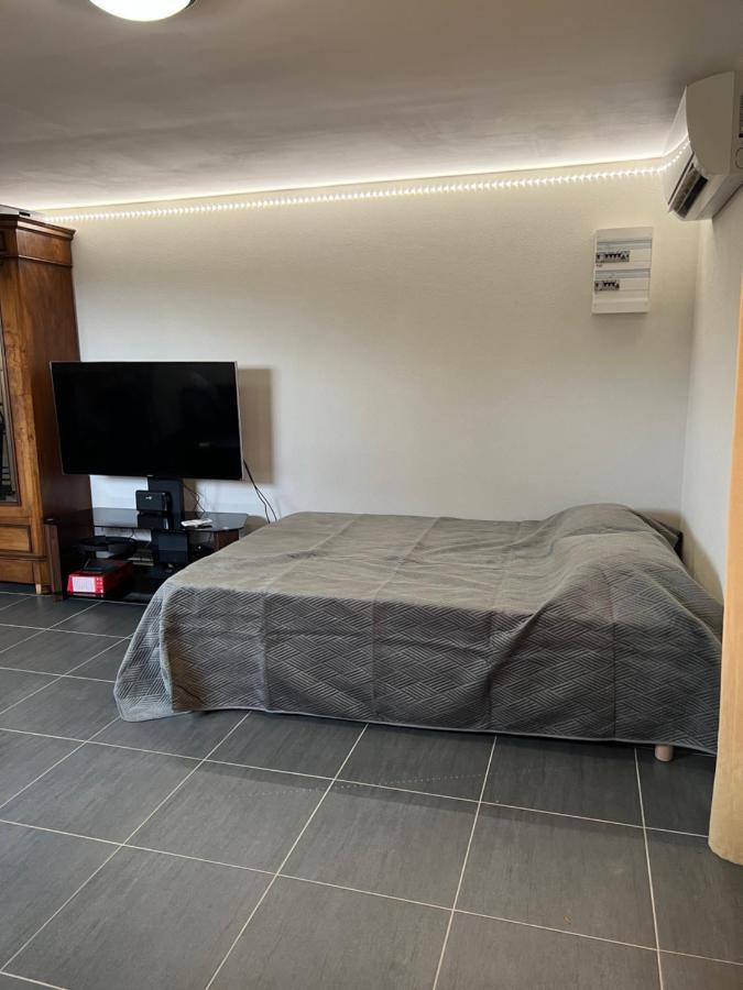 Studio Cosy Avec Grand Jardin Privatif Oasis Provencale A Taradeau Buitenkant foto